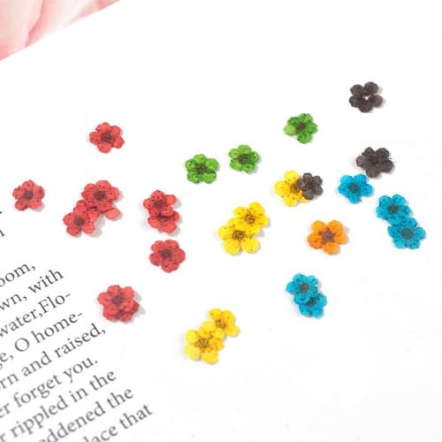 조팝꽃 드라이플라워 생화 압화 말린꽃